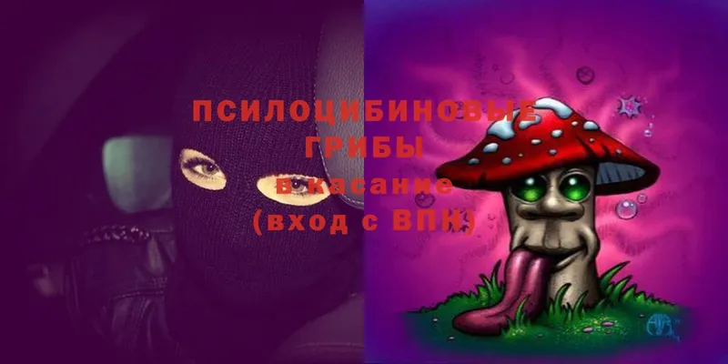 Галлюциногенные грибы Magic Shrooms Поронайск